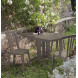 Sedia da giardino Miami bistrot-4